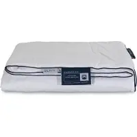 Nordic comfort Sval sommartäcke - Silketäcke med 100% mulberrysilke - 140x200 cm - täcke