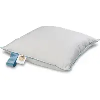 SLEEP TECH Huvudkudde med myskdun - 60x63 cm - 3-lagers dunkudde - By Borg