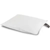 Borg Juniorkudde med myskdun - Huvudkudde för barn - 40x45 cm - Premium