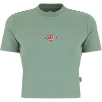 Dickies Maple Valley T-shirt Med Korta ärmar