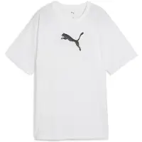 Puma Evostripe Graphic Relaxed Fit T-shirt Med Korta ärmar