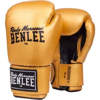 Benlee Rodney Kampsporthandskar