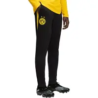 Puma Bvb Borussia Dortmund 25/26 Träning Byxor