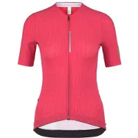 Q36.5 Pinstripe Pro Korta ärmar Cykeltröja