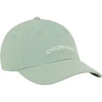 Dickies Wilsall Keps