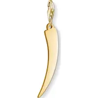 Thomas Sabo Y0038-413-39 Charm