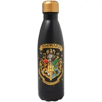 Harry Potter Hogwarts 500ml Hot & Cold Flaska