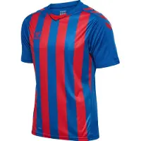 Hummel Core Xk Striped T-shirt Med Korta ärmar