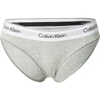 Calvin Klein Bikini Briefs Icon Cotton Modal
