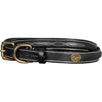 Dyon Fancy Hundhalsband
