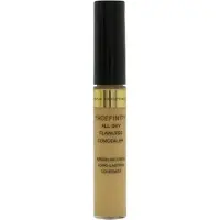 Max Factor Facefinity All Day Flawless Concealer 40 7,8 ml