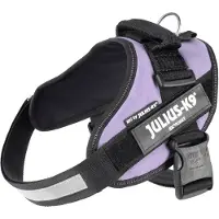 JULIUS K-9 K9 IDC sele, str.: 0, lilla 58-76 cm