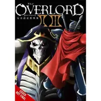 Overlord: The Complete Anime Artbook II III