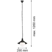 Argon Utomhushänglampa Enduro, svart, stål, glas, IP44, E27 Enduro , dimbar, Svart, Metall