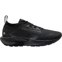 Nike Pegasus Trail 5 GORE-TEX Svart Antracit Herr Sneakers FQ0908-002 40.5