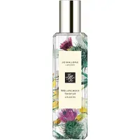 Jo Malone Melancholy Thistle Eau de Cologne, för kvinnor, 30 ml