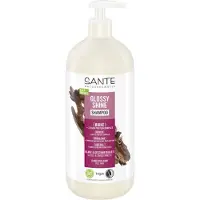 Sante Naturkosmetik Hårvård Schampo Glossy Shine Shampoo