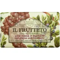 Nesti dante Fruktträd upplysande tvål - röd druva och blåbär, 8.8oz