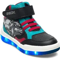 Geox Buzzerlight Skor