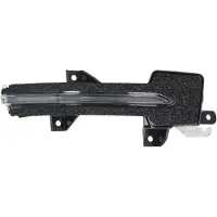 BLIC Extrablinkers 5403-12-2501106P