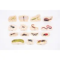TickiT Träfigurer insekter 15/fp
