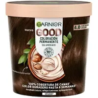 Garnier Good Permanent Color 4.0 Chestnut Cacao 1 U