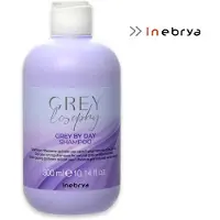 Inebrya GREYlosophy Grey By Day schampo 300 ml