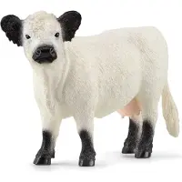Schleich Farm World - Galloway Ko - H: 9 cm - 13960 - - One Size - Leksaksdjur