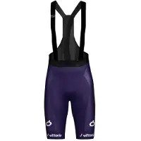 Wilier Vittoria Shorts