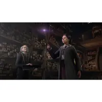 Hogwarts: Legacy (PS4)