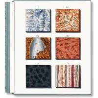 TASCHEN Jan Christiaan Sepp. The Book of Marble (inbunden, eng)