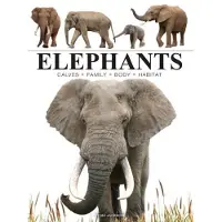 Elephants