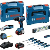 Bosch Professional GBA 18V 5.0Ah + GAL 18V-40 0615A5007K Verktygsset