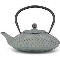 Bredemeijer tekanna Xilin 1,25l gjutjärn ljusgrön 153090