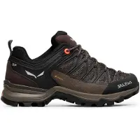 Salewa Mountain Trainer Lite Gore-tex Vandringsskor