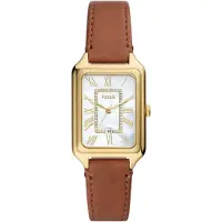 Fossil Analog klocka 'Raquel' brun / guld