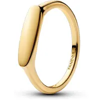 Pandora Moments graverbar ring guldpläterad 163986C00-60