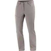 Salomon Women's Wayfarer Warm Pants Iron