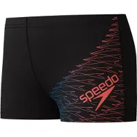 Speedo Medley Logo Simshorts
