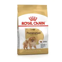 Royal Canin Pomeranian Adult 1,5 kg karma sucha dla psów dorosłych rasy szpic miniaturowy + Pomeranian Adult 12x85g karma mokra