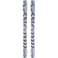 Salomon Qst 100 Alpinskidor