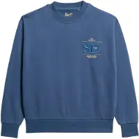 Superdry Luxe Metallic Logo Loose Tröja