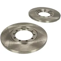 Delphi Bromsskivor BG4075 bak, full, 2 Stycke