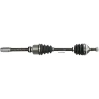 PASCAL Drivaxel G2P042PC