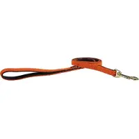 Kentucky Nylon Plaited Hundkoppel 15 Mm