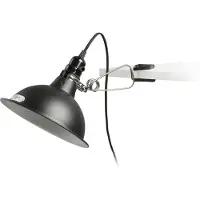 Faro Klämlampa Pepper, Svart, Vardagsrum / matsal, Metall, Industriell design, Klämlampa