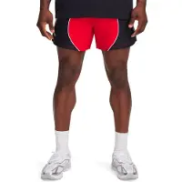 Under Armour Icon Volley Colorblock Shorts