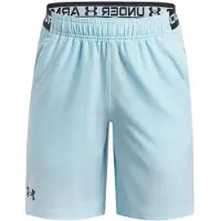Under Armour Vanish Shorts