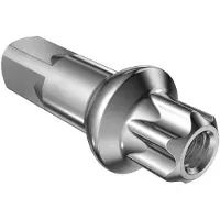Dt Swiss Aluminum Squorx Pro Head 2.0/fg 2.3 Nipplar 100 Enheter