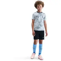 Nike Tottenham Tränings T-Shirt Dri-FIT Academy Pro Pre Match - Vit/Grå/Navy Barn - , storlek M: 137-147 cm
